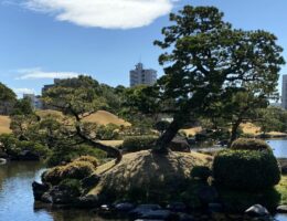 Japan Pfitzner 2021.04 Kumamoto Stadtpark See aq 300 tiny-53cbac27
