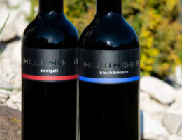 Die Weine von Leo Hillinger präsentieren sich geschmacklich und optisch geradlinig und modern.