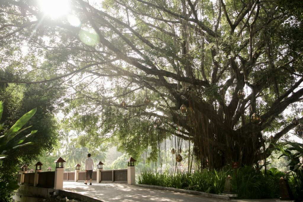 In Harmonie mit der Natur: Banyan Tree Wellbeing Sanctuaries (Bildquelle: @Banyan Tree)