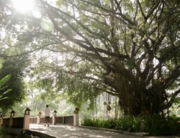 In Harmonie mit der Natur: Banyan Tree Wellbeing Sanctuaries (Bildquelle: @Banyan Tree)
