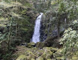 Japan Pfitzner 2021.04 Kumamoto Wasserfall aq 300 tiny-4177d64f