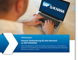 dataglobal Whitepaper SAP HANA