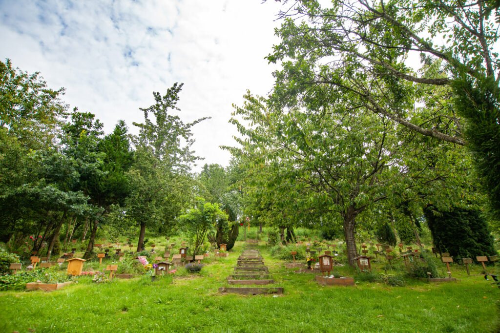 Tierfriedhof in Bayern