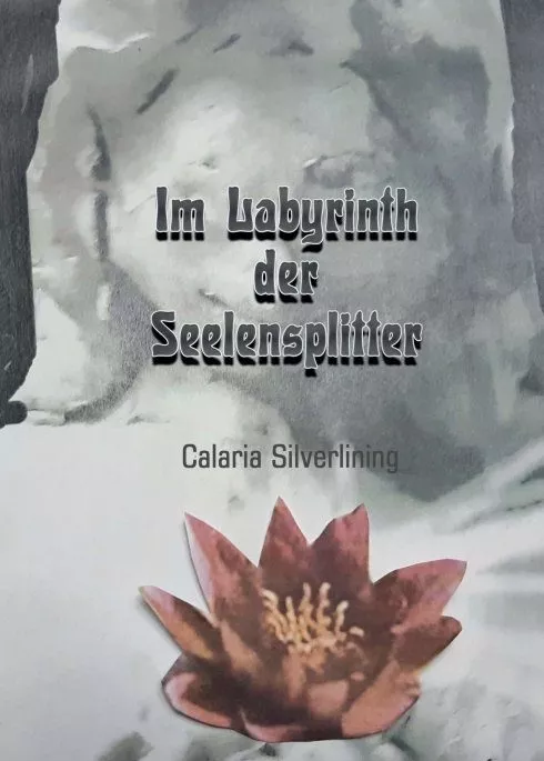 "Im Labyrinth der Seelensplitter" von Carlaria Silverlining