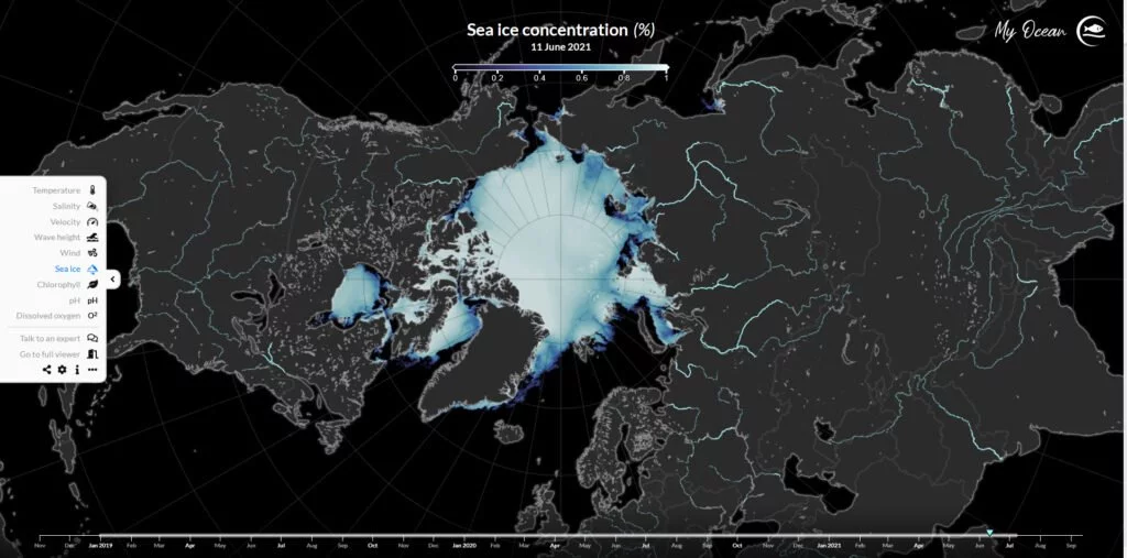 Dichte des arktischen Meereises am 11. Juni 2021 über MyOcean Light (Bildquelle: @Copernicus Marine Service)