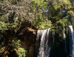 COSTA Reinecke 2020.04 Wasserfall aq 300 tiny-f5cc60db