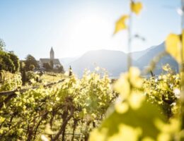 Die Gäste der Vitalpina® Hotels Südtirol erleben im Herbst die Natur als leuchtendes Farbenmeer (Bildquelle: © IDM Südtirol-Alto Adige - Benjamin Pfitscher)