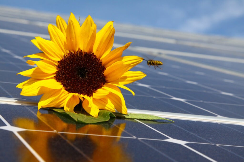 Klimatisieren mit Solarstrom: Wirtschaftlich