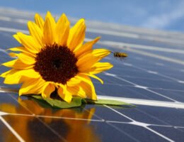 Klimatisieren mit Solarstrom: Wirtschaftlich