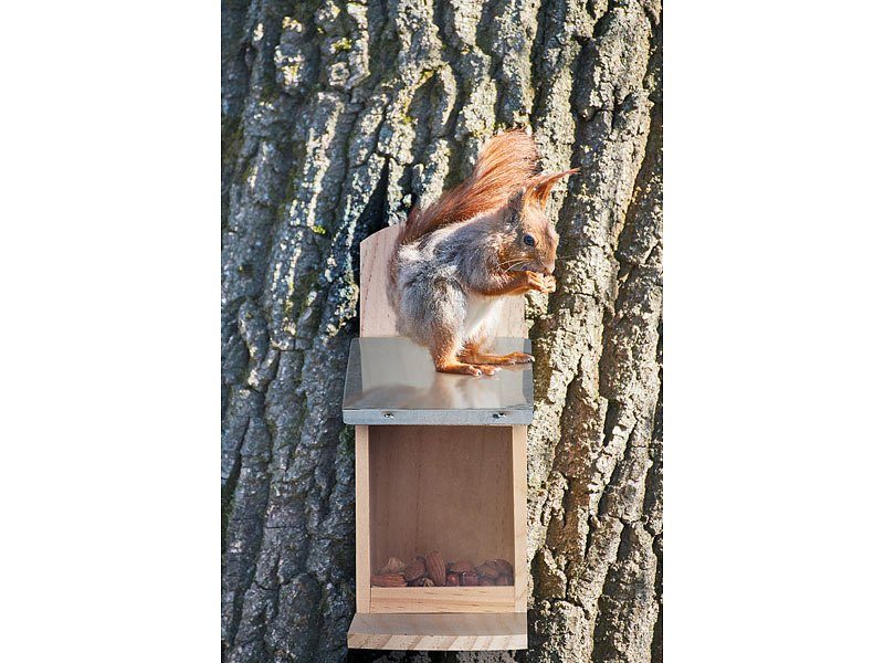 Royal Gardineer Wetterfestes Futterhaus mit Metalldach für Eichhörnchen