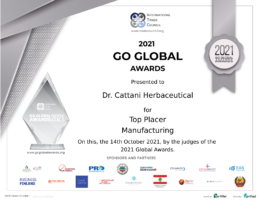 Global Award-dca569a4
