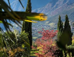 Den Herbst in Südtirol zum Vorteilspreis genießen
