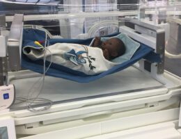 Prototyp einer patentierten Frühgeborenenhängematte im Inkubator