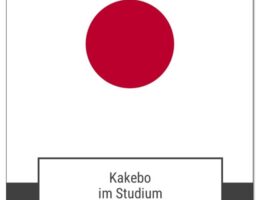Kakebo im Studium - die bewährte japanische Methode speziell für knappe Kassen