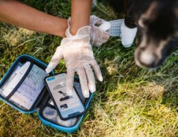 Die PocDoc PET CONNECT App leitet über einfache Fragen schnell zur richtigen Behandlung und sogar zum Tier-Notruf.