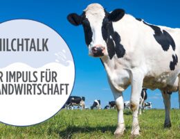 Neuer Milchtalk: Klimakiller Kuh?