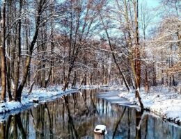 Auch im Winter eine Reise wert: Das UNESCO Biosphärenreservat Spreewald