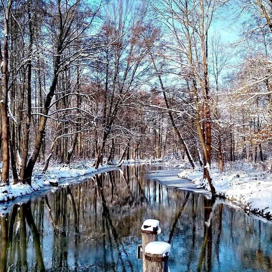 Auch im Winter eine Reise wert: Das UNESCO Biosphärenreservat Spreewald