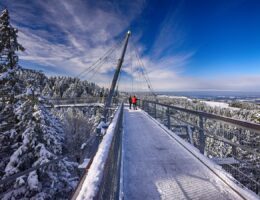 Weite Ausblicke auf traumhafte Winterlandschaften - der skywalk allgäu startet am 25.12.2021 sein Winterzauber-Programm.