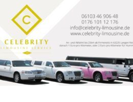 celebrity-limousine.de