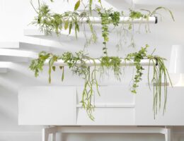 Schwebende Pflanzeninstallationen verwandeln Innenräume in grüne Oasen. Foto: Ruof