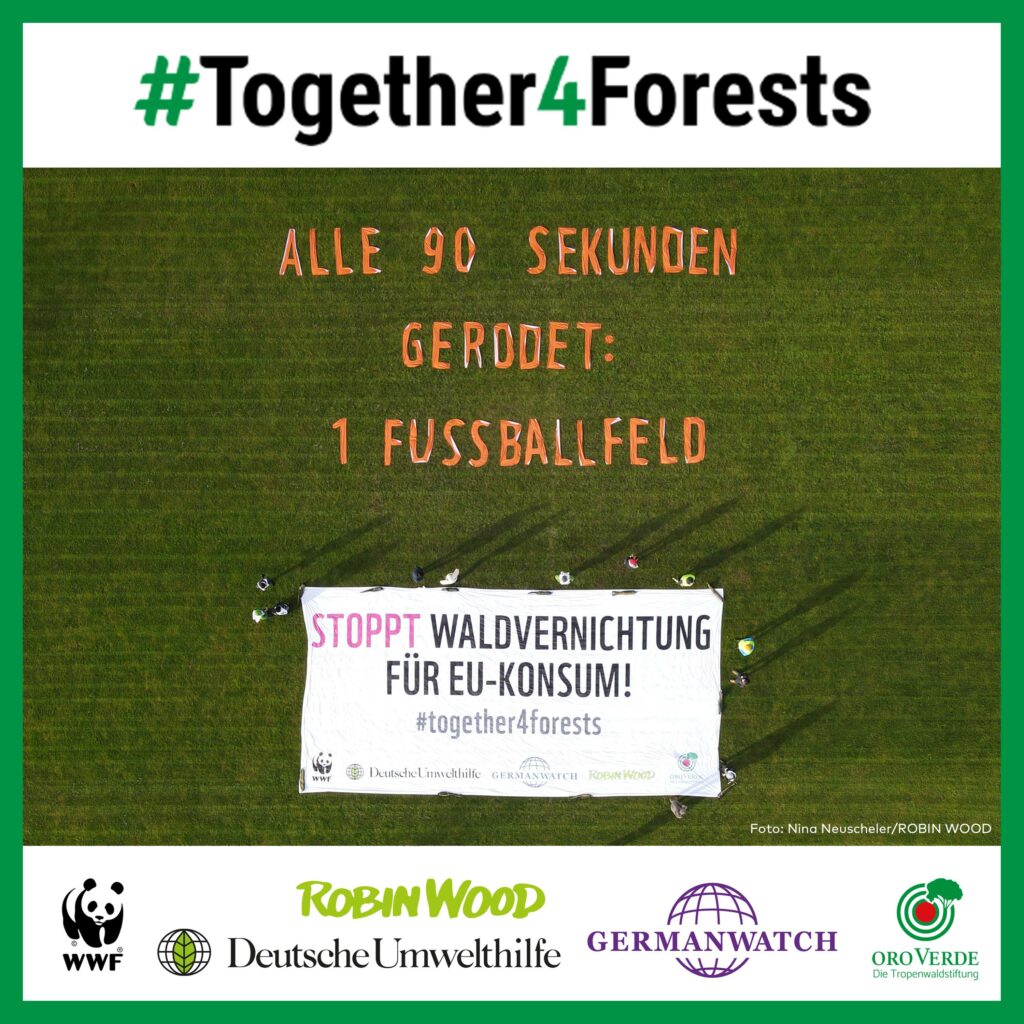 Start Together4Forests