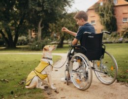 rosengarten-stiftung-assistenzhunde-ausbildung-förderung-unterstützung-handicap-6db60de7