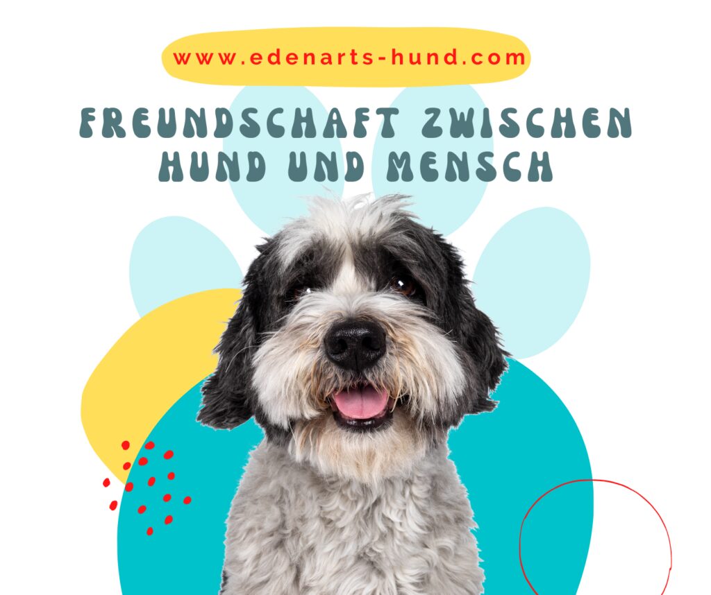 www.edenarts-hund.com
