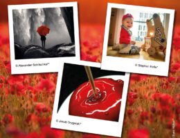 Datacolor® Fotowettbewerb zum Thema „Rot“