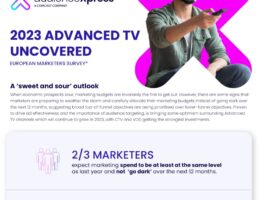 Infographic Download unter https://audiencexpress.com/insights/reports/european-marketers-survey/ (© Freewheel / AudienceXpress)