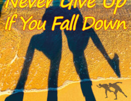 "Never Give Up If You Fall Down" erhältlich auf Musik-Streaming/Download-Portalen und Playlists (Die Bildrechte liegen bei dem Verfasser der Mitteilung.)