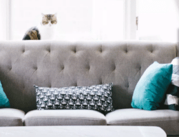 Tipps für die Couch-Reinigung