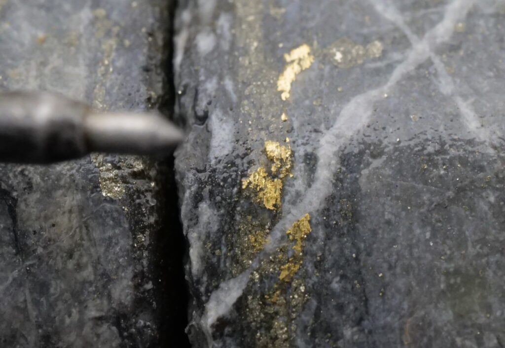 Bohrkern mit sichtbarem Gold; Quelle: Brixton Metals