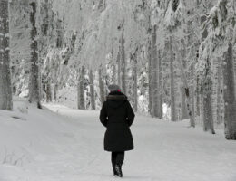 Bei einem achtsamen Winterspaziergang können Sie entspannen und Stressprävention betreiben (Bildquelle: moritz320