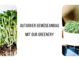 Our Greenery - Autarker Gemüseanbau (Die Bildrechte liegen bei dem Verfasser der Mitteilung.)