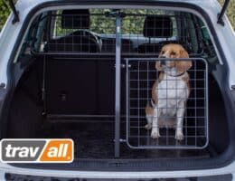 Urlaub mit Hund 2023: Transportsicherung im Auto