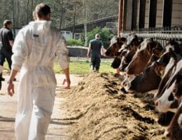 Fütterungscontrolling im Milchkuhbetrieb: Das einzigartige AVA-Fortbildungskonzept für Tierärzte und Landwirte