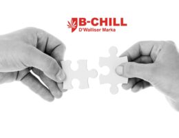 Vertiefte Zusammenarbeit von B-Chill und CBD Discounter