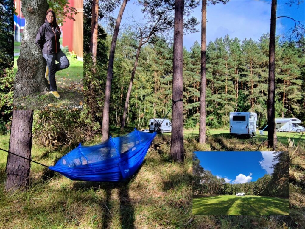 Waldauszeit mit Camper mit der Entschleunigungs-Gastgeberin Petra Lupp (© Petra Lupp / Sylke Gall (Portraitfoto))