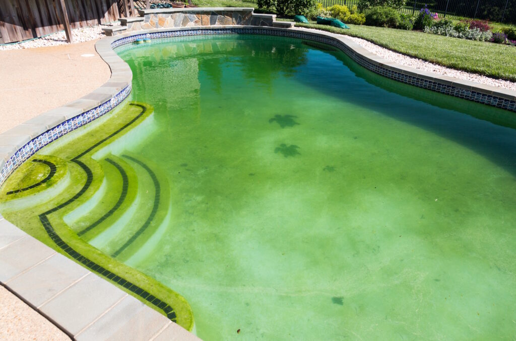 Pool Wasserwerte Leitfaden gegen grünes Poolwasser