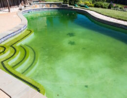 Pool Wasserwerte Leitfaden gegen grünes Poolwasser