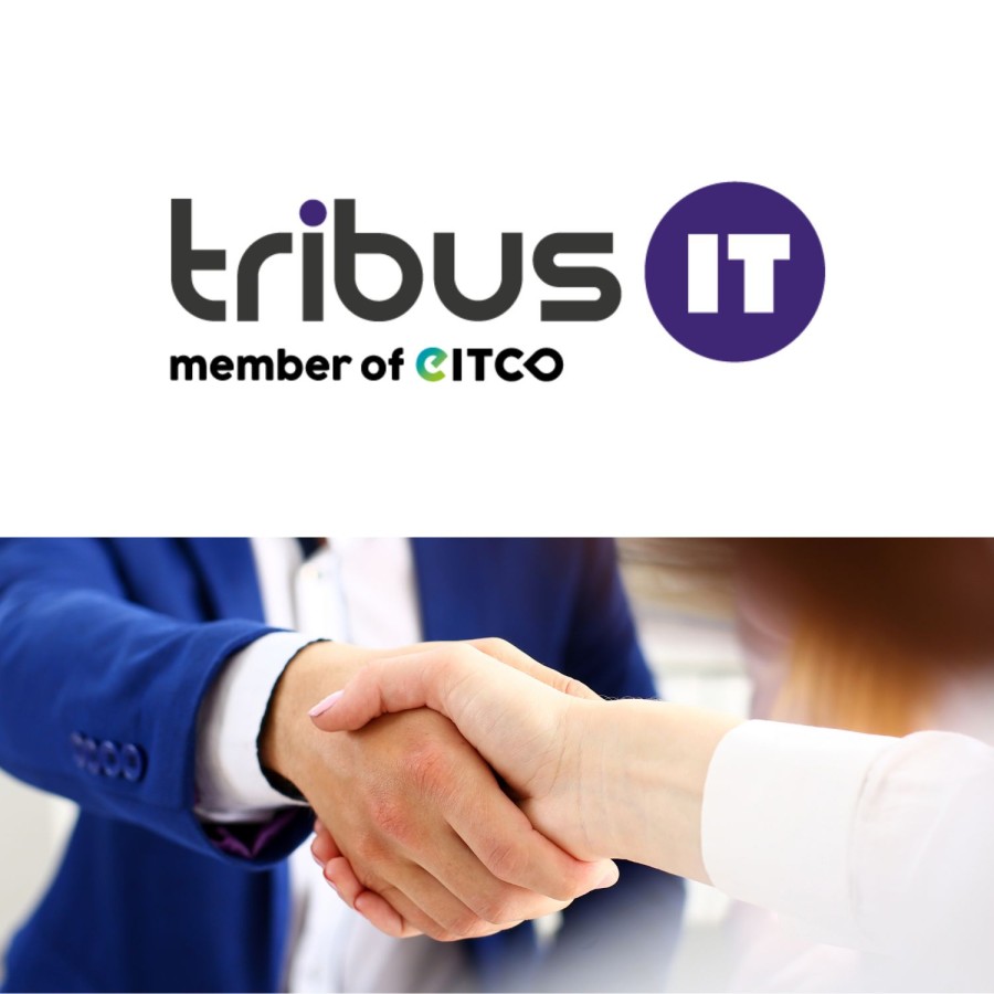 EITCO-Gruppe und tribus IT fusionieren (©European IT Consultancy EITCO GmbH)