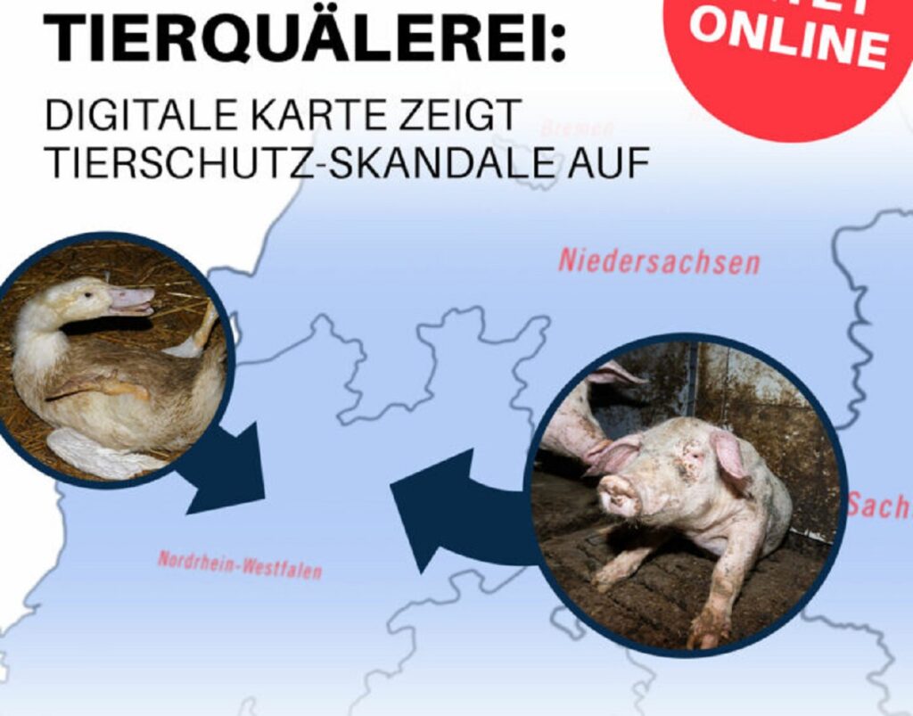 Neue Datenbank der Tierquälerei zeigt: Vor allem Brandenburg ist betroffen - 26 Skandale in den letzten Jahren - kaum rechtliche F