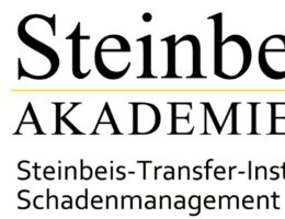 STI Schadenmanagement in der Steinbeis+Akademie (© Steinbeis+Akademie)