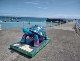“Naturwunder” auf Jersey - Skulpturenpfad auf der Kanalinsel präsentiert 50 Riesenschildkröten