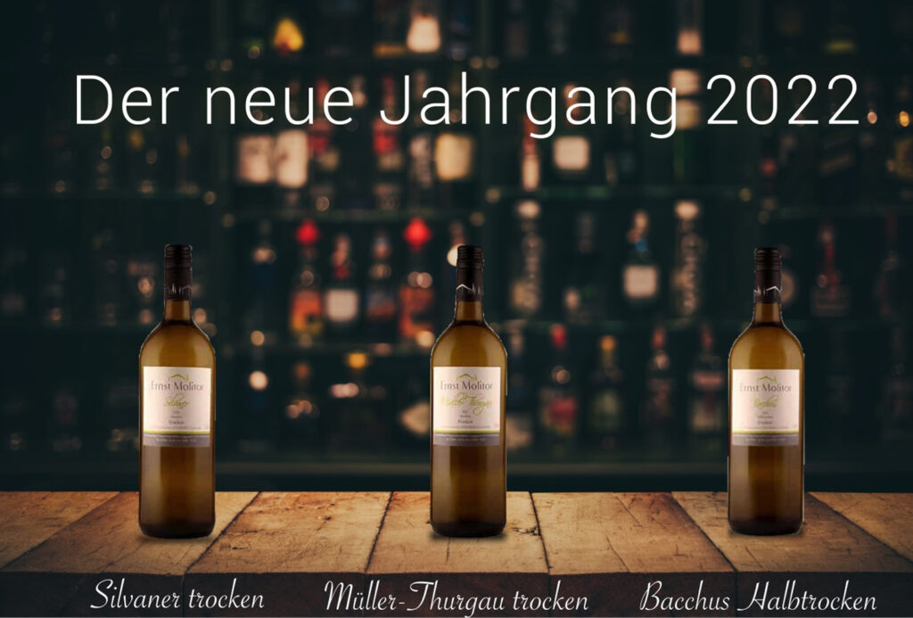 Wein Jahrgang 2022 vom Weingut Molitor