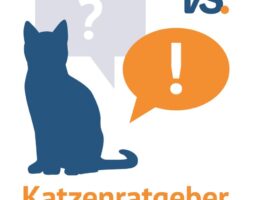 Der innovative Katzenratgeber klärt alle Fragen zur Haltung von Stubentigern. (© Grafik: © vs vergleichen-und-sparen GmbH)