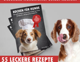 Kochen für Hunde - Das große Kochbuch für Hunde mit gesunden & bedarfsgerechten Rezepten für selbstgemachtes Hundefutter