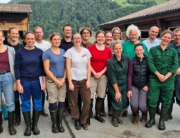 AVA-Rinder-Spezialworkshop für Tierärzt:innen in der Schweiz in Filzbach- ein großer Erfolg
