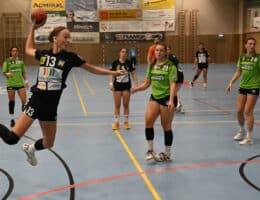 Busch Austria unterstützt lokales Damen Handball Team